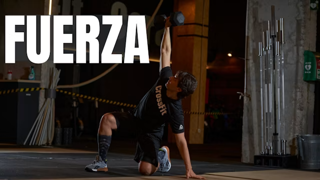 cat_home_kyfit_fuerza